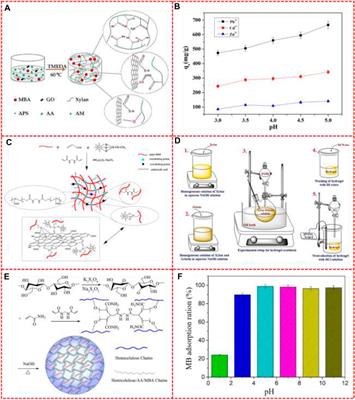 Hemicellulose-based hydrogels for advanced applications